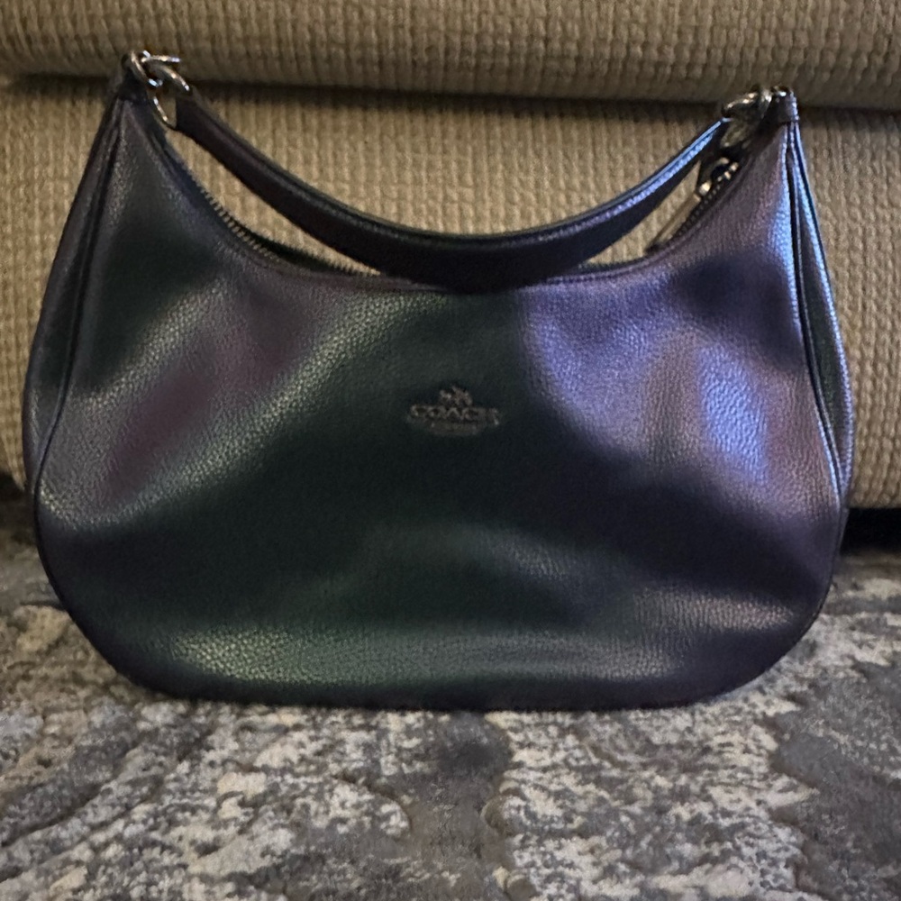 Coach Hologram East West Harley Hobo and Wallet